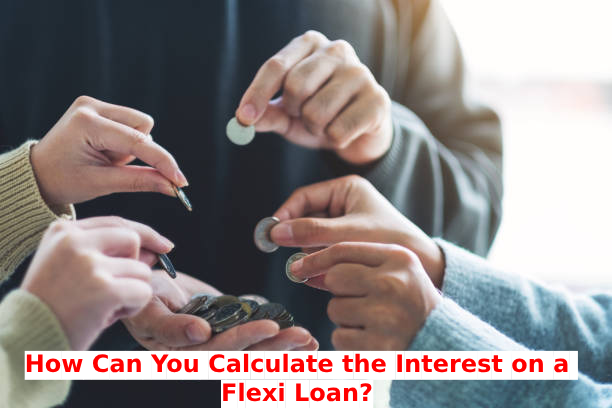 How Can You Calculate the Interest on a Flexi Loan?