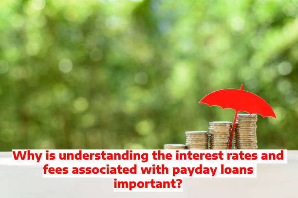Why is understanding the interest rates and fees associated with payday loans important?