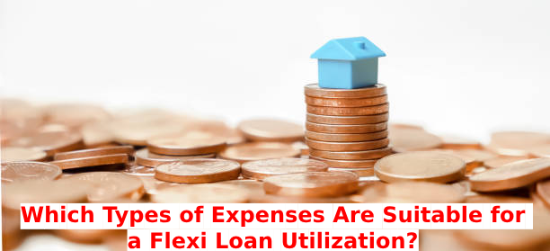 Which Types of Expenses Are Suitable for a Flexi Loan Utilization?