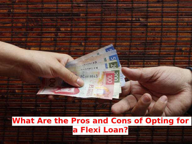 What Are the Pros and Cons of Opting for a Flexi Loan?