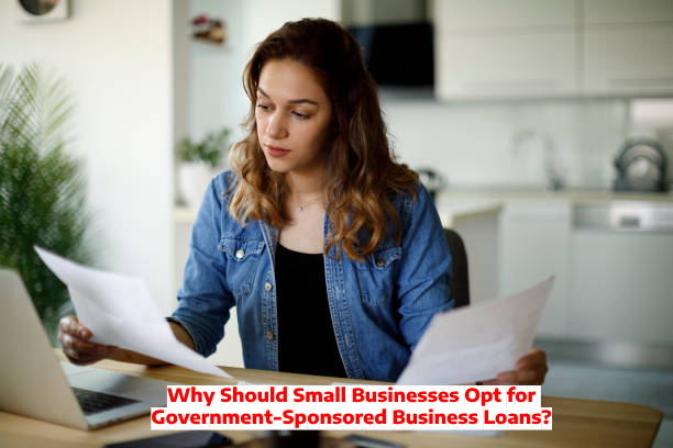 Why Should Small Businesses Opt for Government-Sponsored Business Loans?