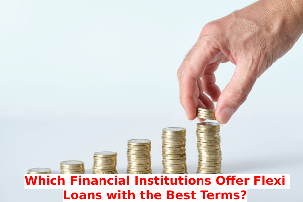Which Financial Institutions Offer Flexi Loans with the Best Terms?