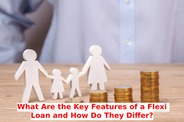 What Are the Key Features of a Flexi Loan and How Do They Differ?