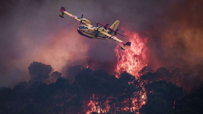Europe wildfire in pictures: fire cloud ravaging France, Spain regions