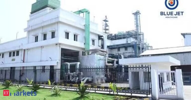 Blue Jet Healthcare shares rally 9% after Rs 800 crore QIP allotment