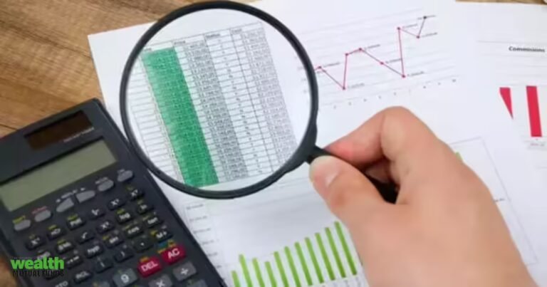 Mutual funds boost equity bets in June, favour largecaps and private banks