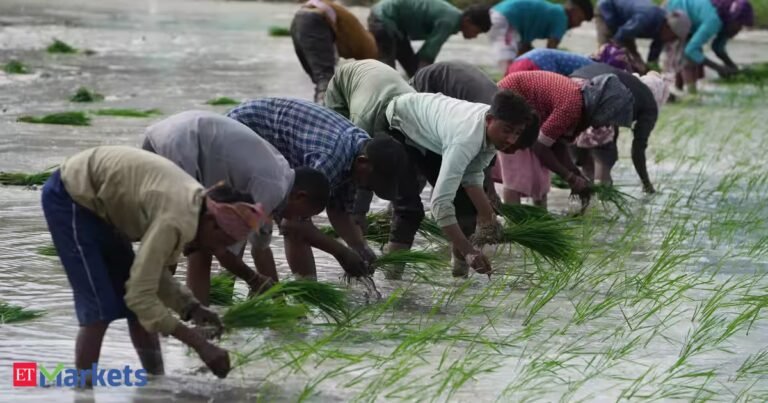 Patchy rains may hit rural lending, banks stay cautious