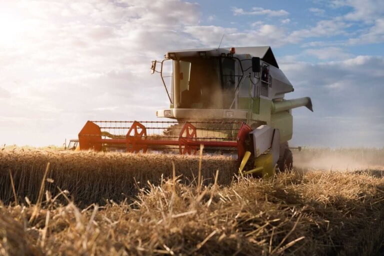 Wheat Holding Higher on Wednesday AM Trade