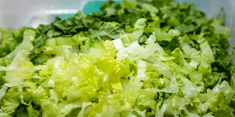 The FDA Named a Source of the Diarrhea Parasite Outbreak. the Saga Isn’t Over.
