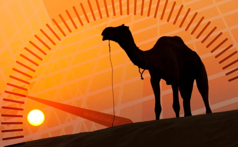 How US regulators could stop management driving Camels