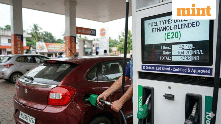Ethanol mutual funds: Experts suggest how investors can explore this new theme and key risks to watch