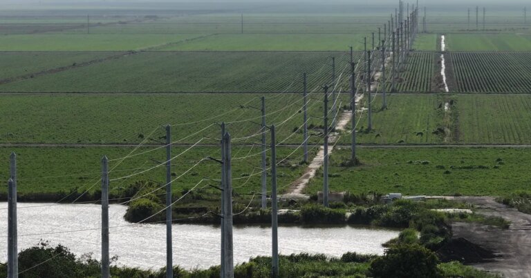 Palm Beach County Pauses Data Center Applications – Commercial Observer