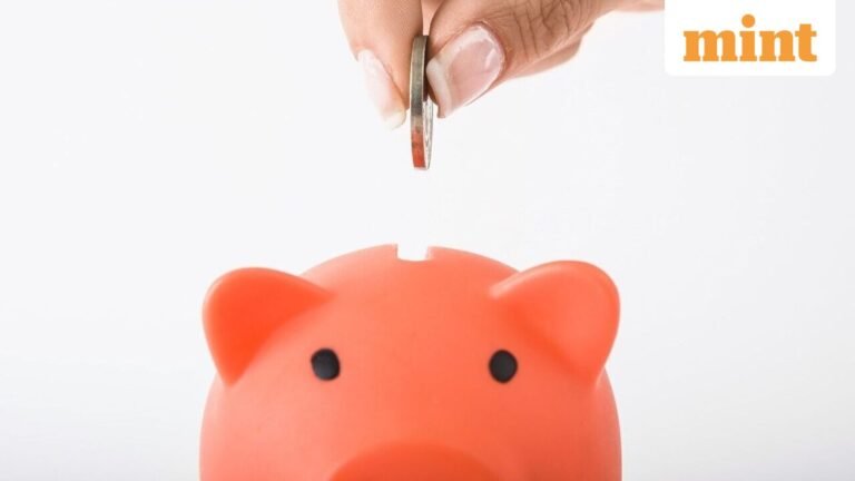 Funding your spouse’s PPF account? Tax expert explains how Section 80C rules apply