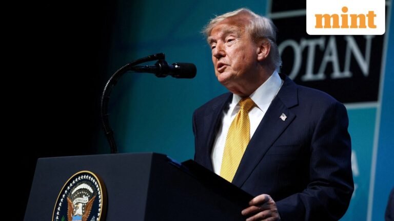 If you invested like Trump, you’d be ahead of the S&P 500 — here’s what the US President is betting on