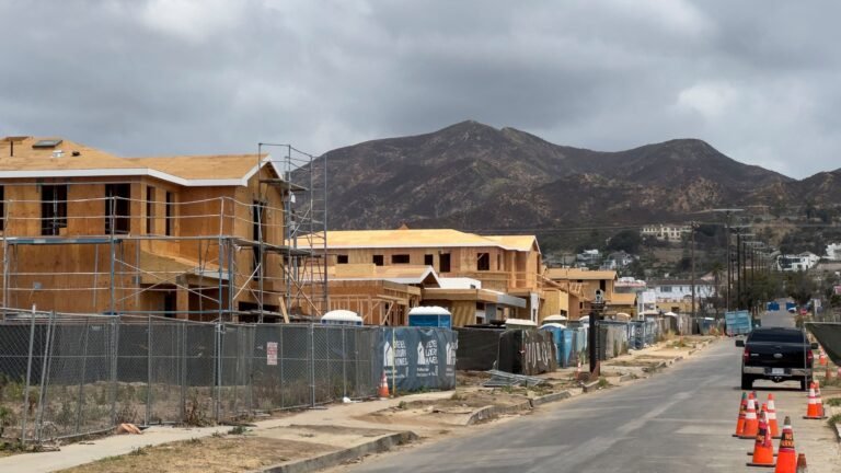 Six Unlicensed Contractors Arrested in Pacific Palisades Wildfire Sting