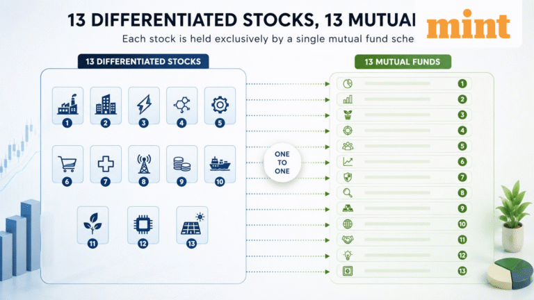 Exclusive holdings: Stocks owned by just one mutual fund scheme, with no other scheme holding them