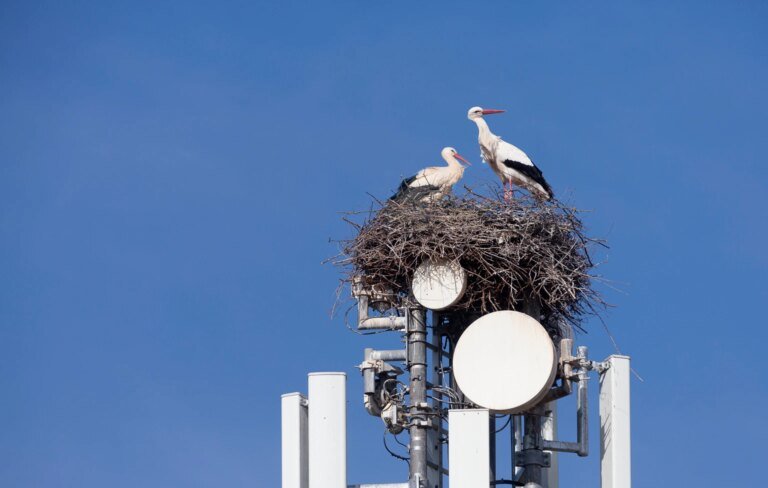 Crown Castle: 22% IRR On Longer-Term Defensive Covered Calls (NYSE:CCI)
