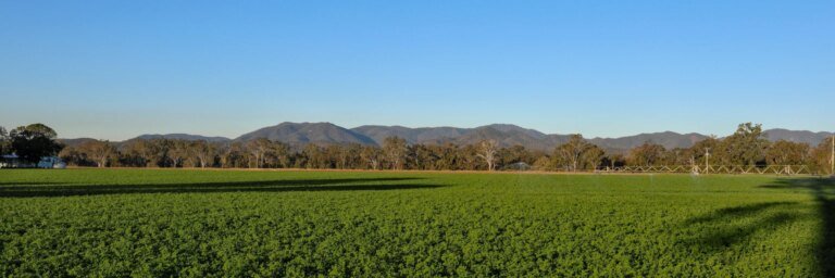 Gladstone Land: Why A Dividend Cut Is Likely (NASDAQ:LAND)