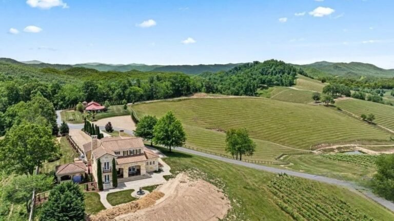 Tennessee Winery Offers a Slice of Napa Valley Life for a Fraction of the Price