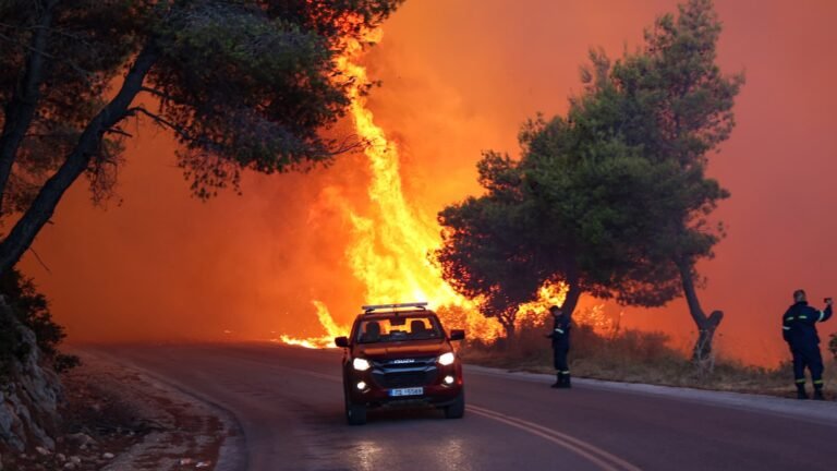 How costly wildfires are exposing Europe’s insurance gap