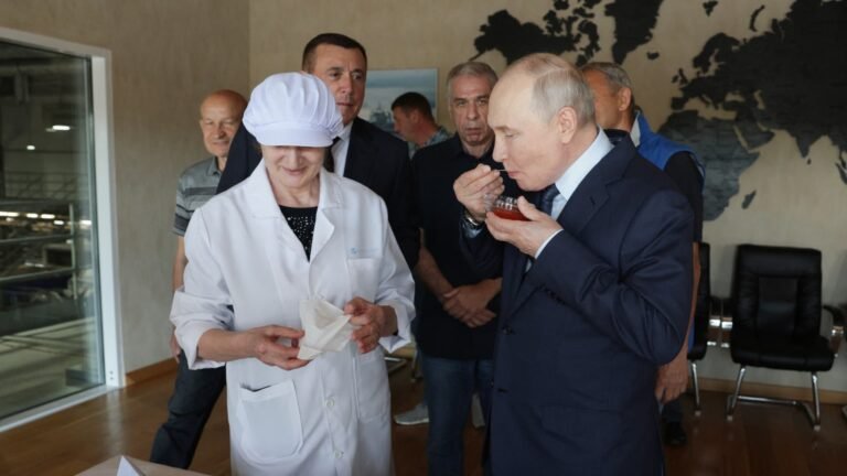 Putin visits disputed Kuril Islands, Japan protests