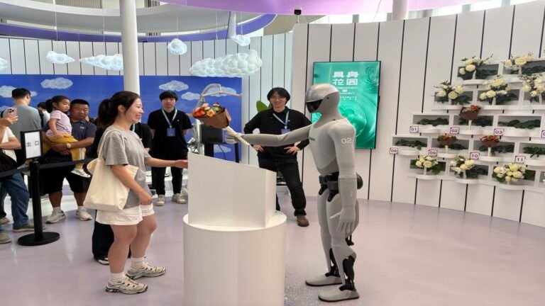 Chinese humanoid robots face challenge of their own capabilities