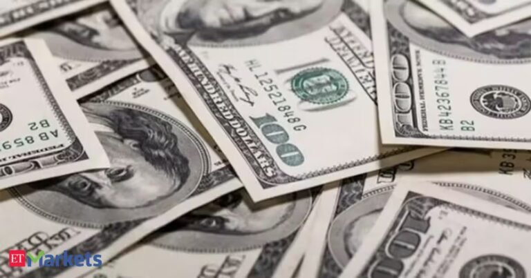India raises $73 bn in forex inflows at record pace