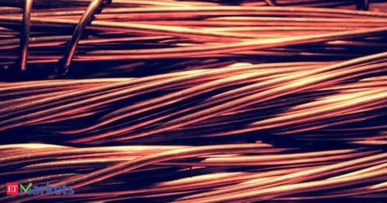 Hindustan Copper OFS may not be a big draw for retail investors: Analysts
