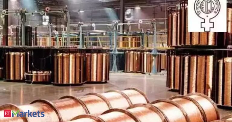 Hindustan Copper OFS opens for retail investors today. Should you apply in the metals major’s offer?