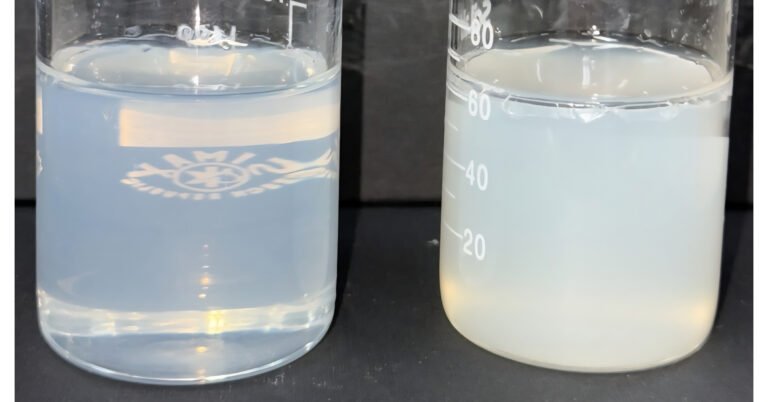 Shinsung Materials Strengthens Competitiveness in the Functional Cosmetics Market with Differentiated Ingredient Technologies