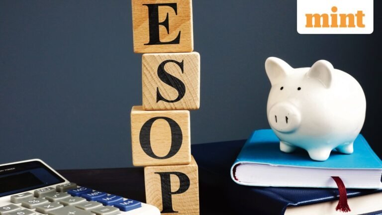 Flipkart Esop case: Could a buyback of unexercised options mean lower tax bill?