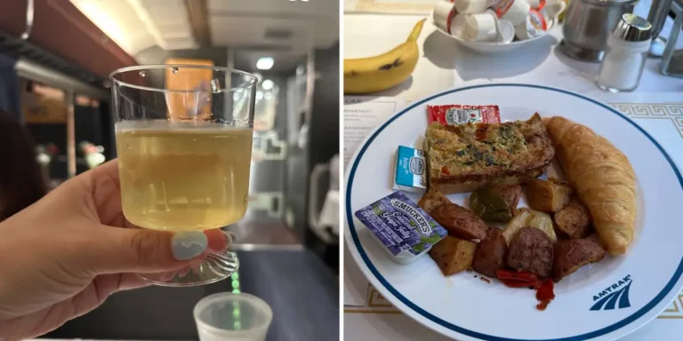 Trying Private Room for 2 on Amtrak Auto Train: Pros, Cons, Worth It?