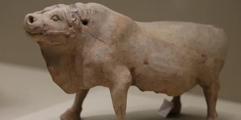 Who Made Ox Alpha? the Mystery AI Is Turning Heads in Silicon Valley.