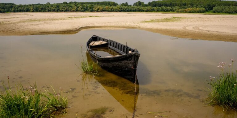 The Danube is running dry, and Europe’s power grid is suffering as a result