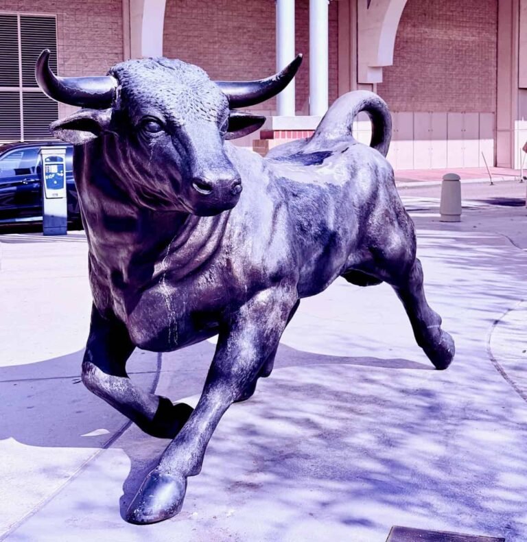 Bullish Reports Earnings Loss Of $280 Million, Shares Rise On Sentiment, Future Expectations