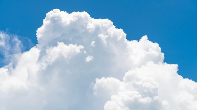 Cloud & E-Commerce Gains Lift OGIG in July
