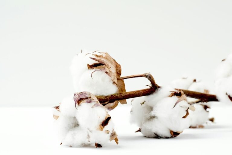 Cotton Fading Lower on Wednesday, as USDA Hikes Acreage