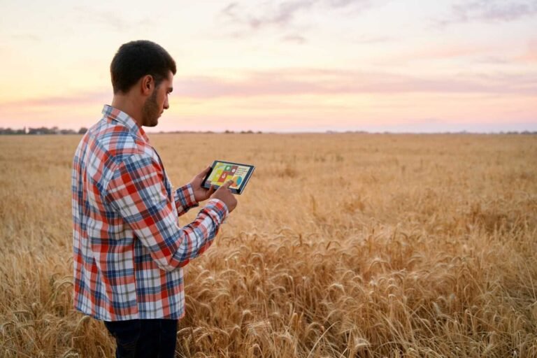 Wheat Hold Higher on Friday