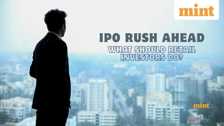 IPO rush ahead: What should retail investors watch out for? DSP’s Jay Kothari explains