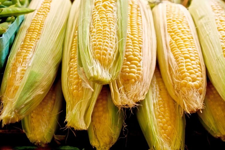 Corn Pushing Higher into the Weekend