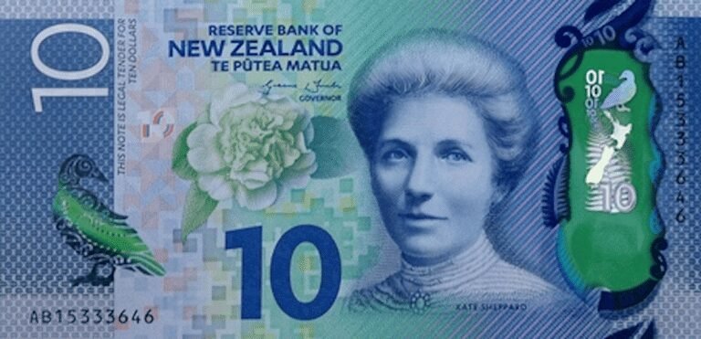 New Zealand AI Startup Sterling Raises NZ$3.8m In Blackbird-Led Round