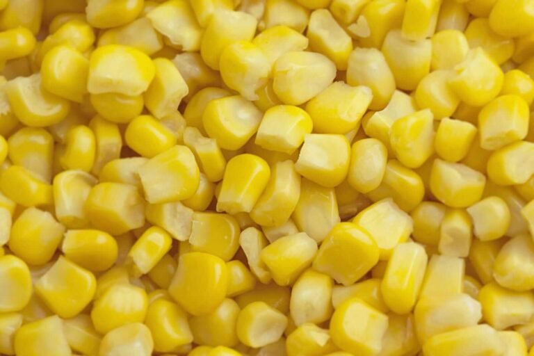 Corn Losses Extend to Wednesday’s Midday