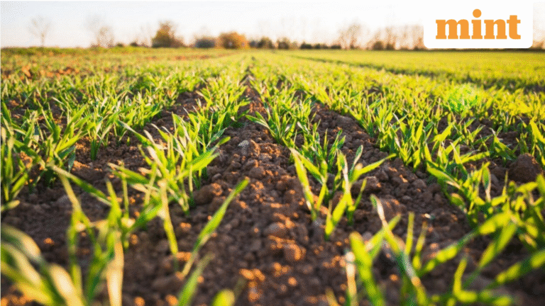 When does agri land sale qualify for tax exemption?