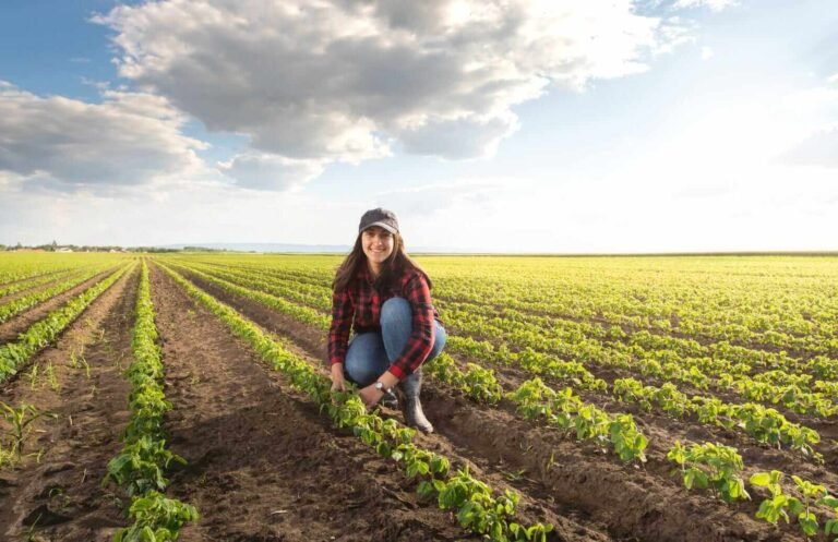 Soybeans Turn Higher into Thursday’s Close, Spurred by Chinese Rumors