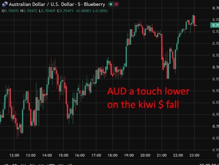Australia services PMI hits six-month high of 53.6 as new orders return