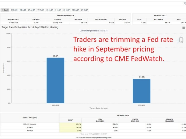 Hawkish Fed’s Hammack says acting now on inflation is really critical