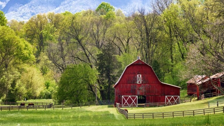 Tennessee Farm Values Are Surging Faster Than Any Other State