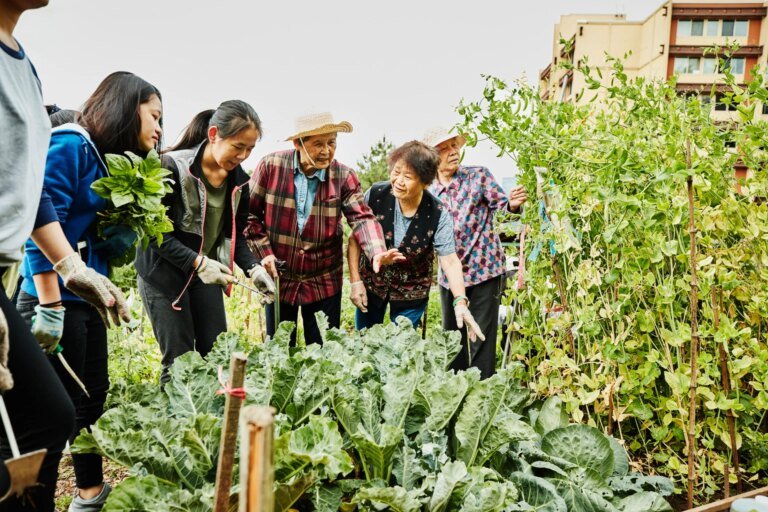 Green Thumb: The Stock Is Priced Too Low For What It’s Delivering, Jump In
