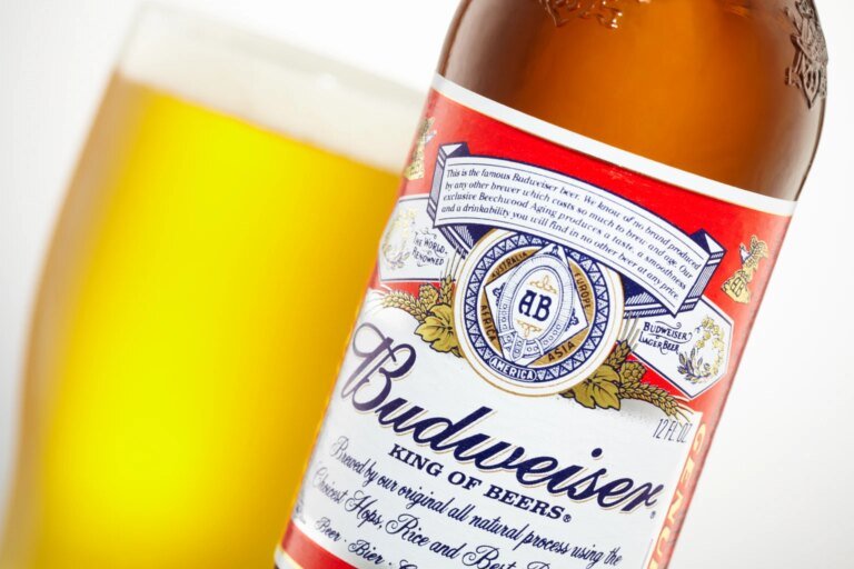Anheuser-Busch InBev: Unfavourable Risk-Reward, In My Opinion