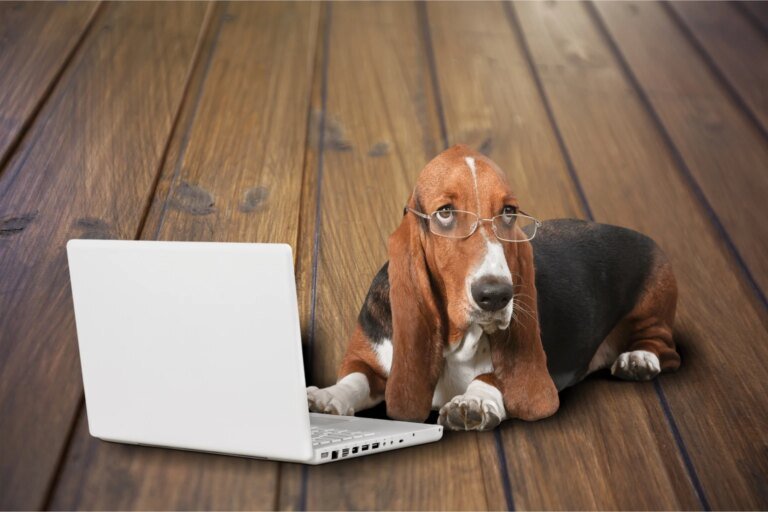 Datadog: Why The Largest Customer Usage Cut Sparks My Downgrade To Sell
